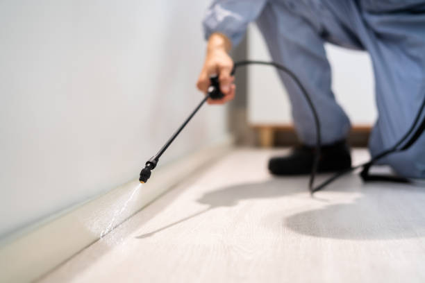 Licensed Termite Control service in Napa, CA - Nex Pest Control