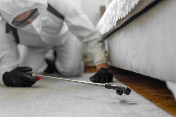 Professional Termite Control technician working in Napa, CA