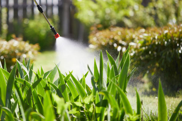 24/7 Emergency Termite Control experts in Napa, CA