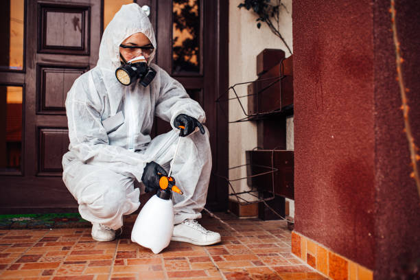 Reliable Termite Control contractor in Napa, CA by Nex Pest Control