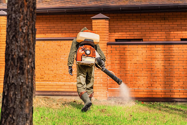 Top rated local Termite Control specialists in Napa, CA